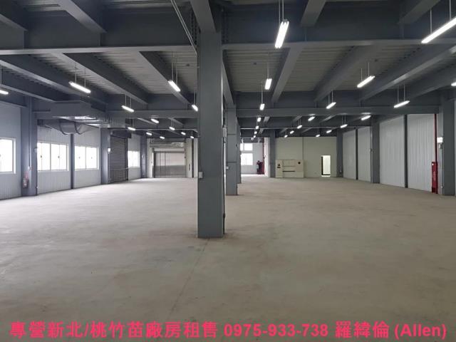 桃園大園廠房-0