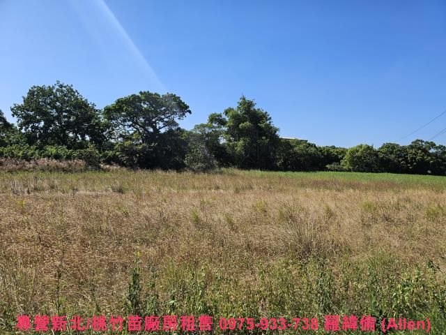 桃園蘆竹農地-1
