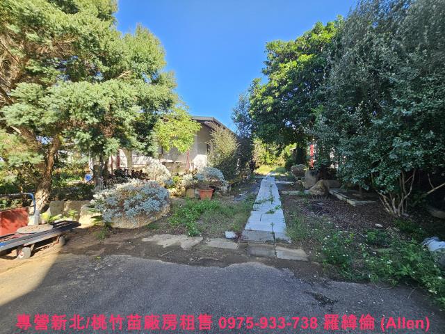 湖口農地-0