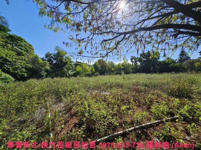 湖口農地-1